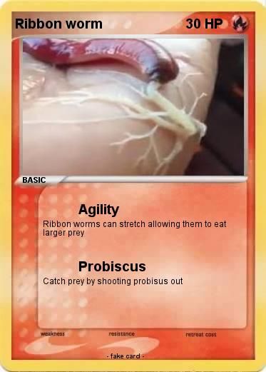 Pokemon Ribbon worm