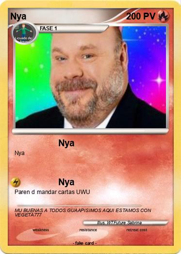 Pokemon Nya