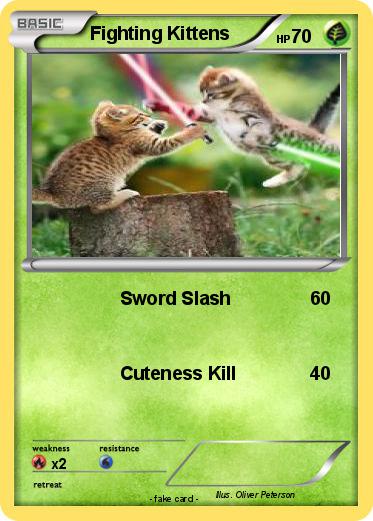 Pokemon Fighting Kittens