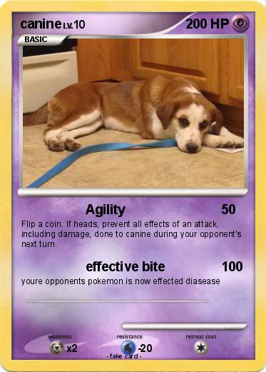 Pokemon canine
