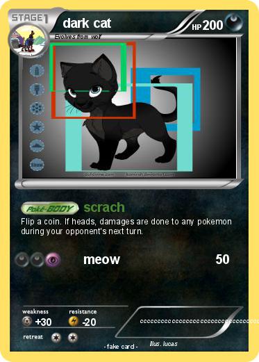 Pokemon dark cat