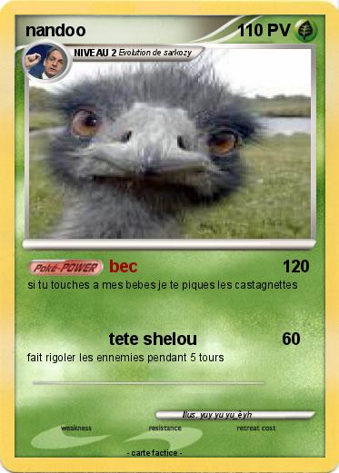 Pokemon nandoo