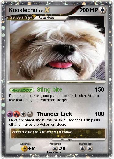 Pokemon Kookiechu