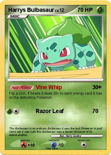 Pokemon Harrys Bulbasaur