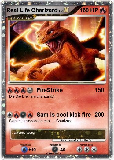 Pokemon Real Life Charizard