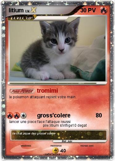 Pokemon litium