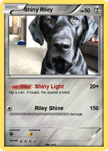 Pokemon Shiny Riley