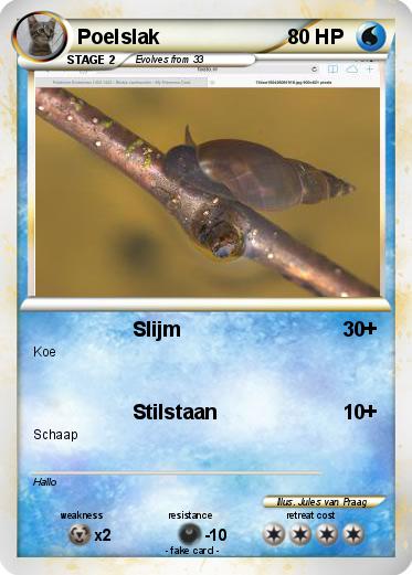 Pokemon Poelslak