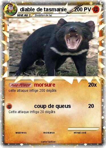 Pokemon diable de tasmanie