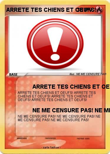 Pokemon ARRETE TES CHIENS ET OEUFS!
