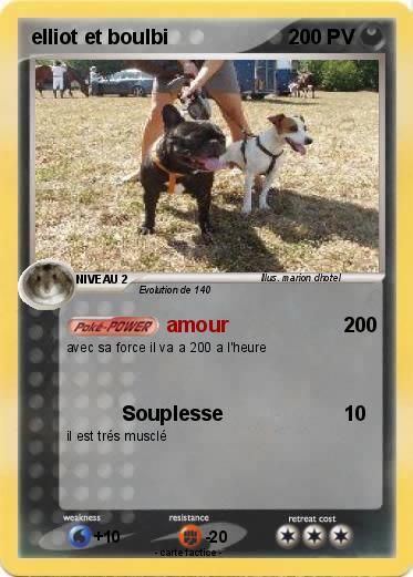 Pokemon elliot et boulbi