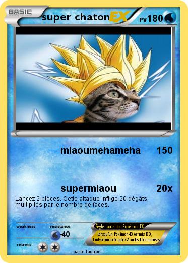 Pokemon super chaton