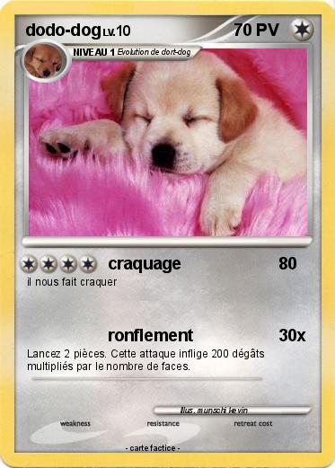Pokemon dodo-dog