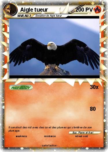 Pokemon Aigle tueur