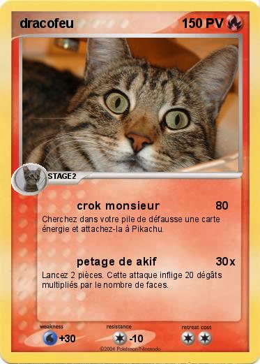 Pokemon dracofeu