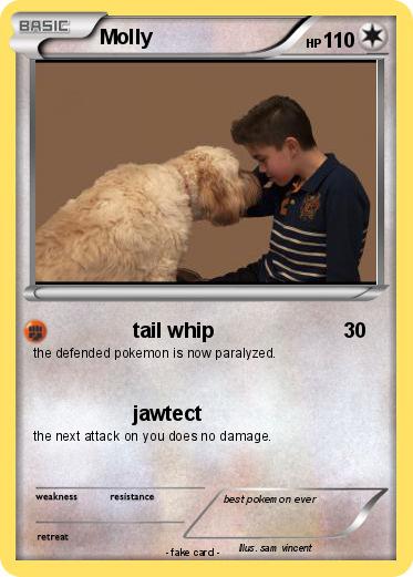 Pokemon Molly