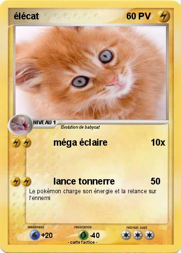 Pokemon élécat