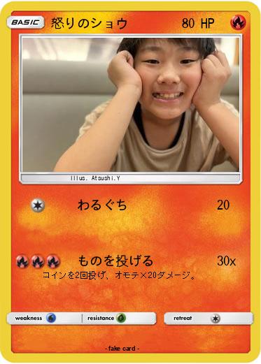 Pokemon 怒りのショウ