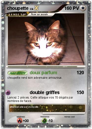 Pokemon choupette