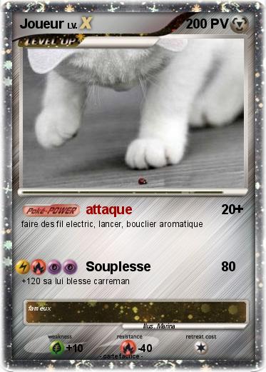 Pokemon Joueur