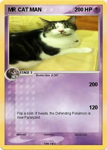 Pokemon MR CAT MAN