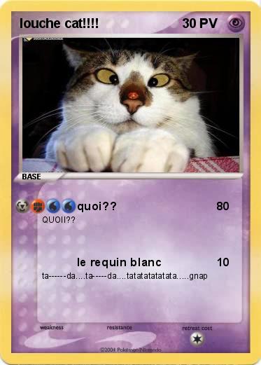 Pokemon louche cat!!!!