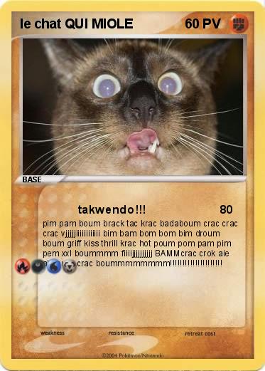 Pokemon le chat QUI MIOLE