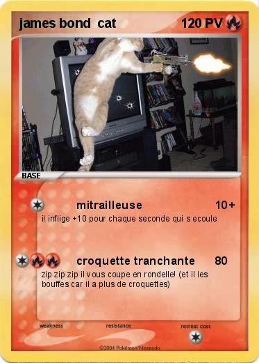 Pokemon james bond  cat