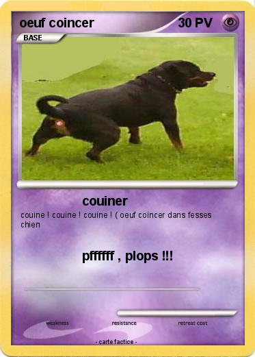 Pokemon oeuf coincer