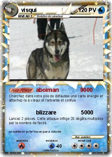 Pokemon visqui