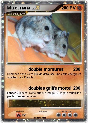 Pokemon lala et nana