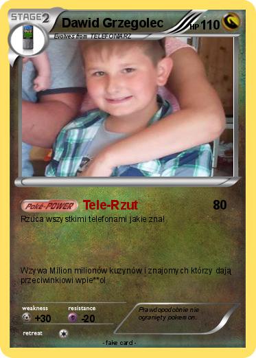 Pokemon Dawid Grzegolec