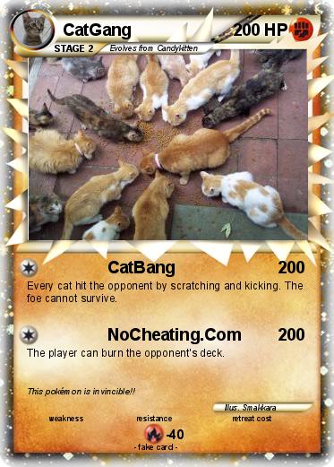 Pokemon CatGang