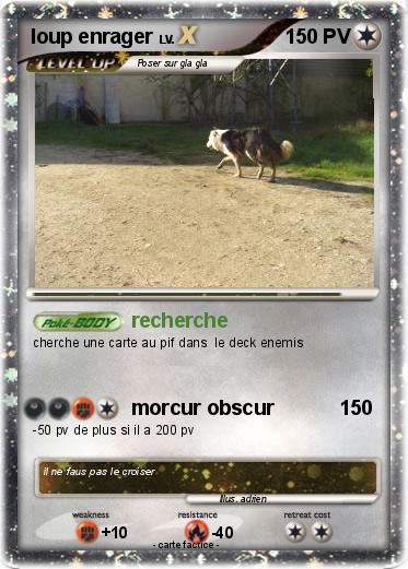 Pokemon loup enrager