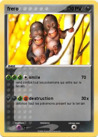 Pokemon frero