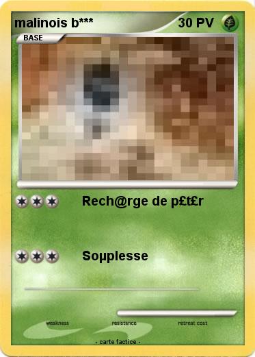 Pokemon malinois b***