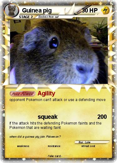 Pokemon Guinea pig