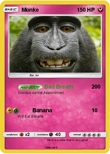 Pokemon Monke
