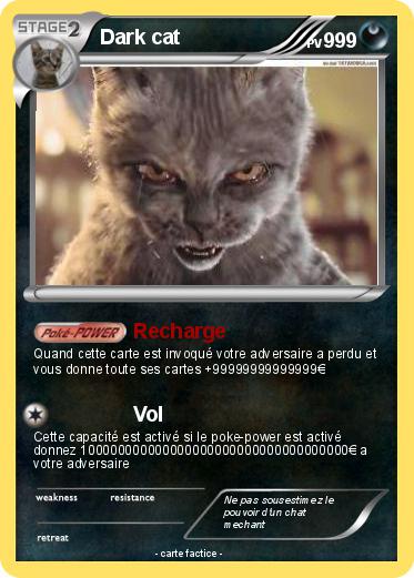 Pokemon Dark cat