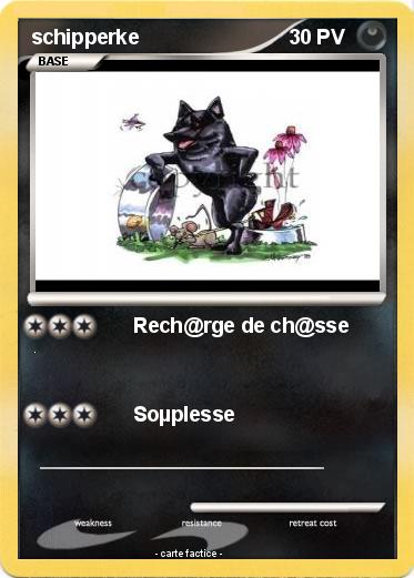 Pokemon schipperke