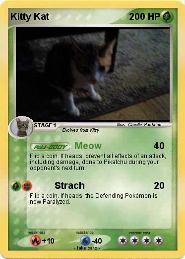 Pokemon Kitty Kat