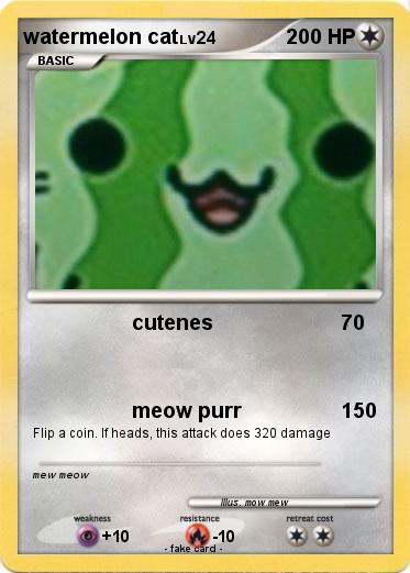 Pokemon watermelon cat