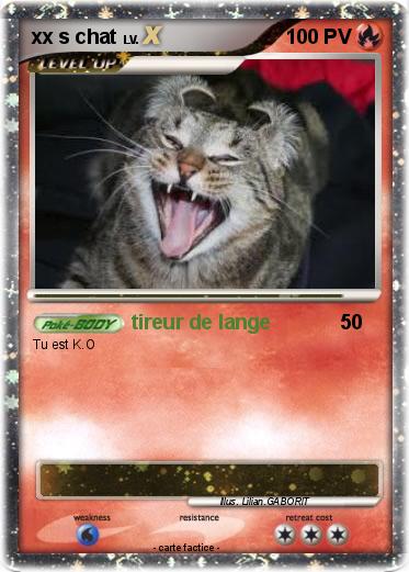 Pokemon xx s chat