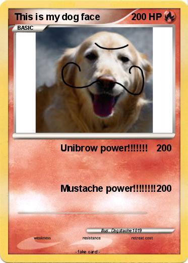 Pokemon This is my dog face