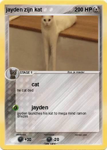 Pokemon jayden zijn kat