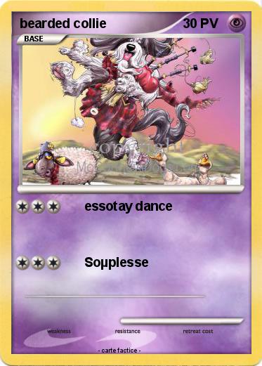 Pokemon bearded collie