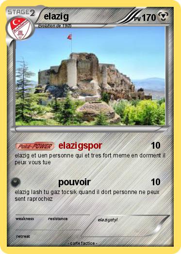 Pokemon elazig