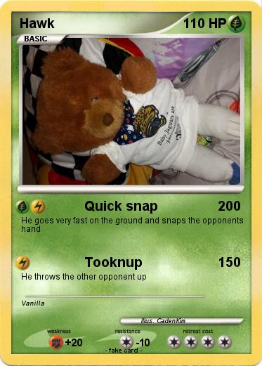 Pokemon Hawk