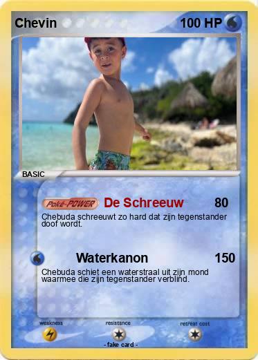 Pokemon Chevin