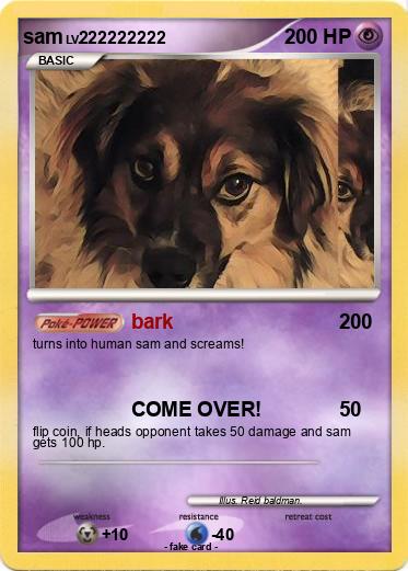 Pokemon sam